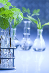 Blue chemistry vials