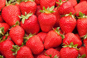 fresh strawberry