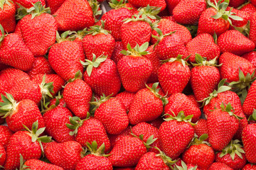 fresh strawberry