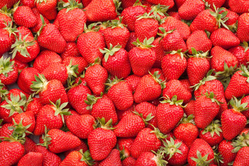 fresh strawberry