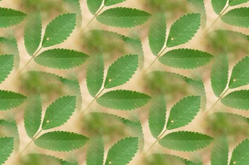 grüne Blätter - Kachel