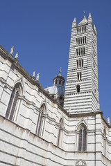 Fototapeta na wymiar Campanile (Bell Tower) of the Cathedral in Siena. Italy, Europe