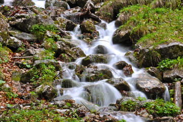 Fototapeta na wymiar mountain stream