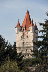 Obraz premium Haager Burgfried