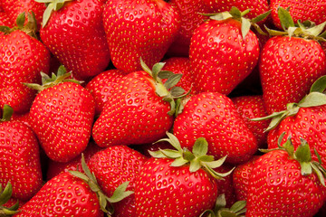 fresh strawberry