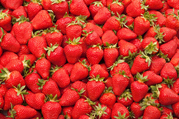 fresh strawberry