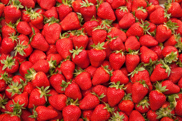 fresh strawberry