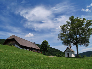 im Schwarzwald