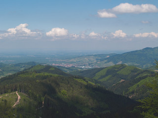 Fototapeta na wymiar Am Fuße des Schwarzwaldes