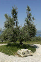 grotte di Catullo