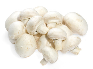 Pile of white mushrooms