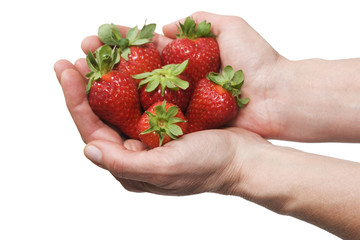 strawberries in the hands