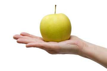 one yellow apple in the hand