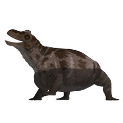 Dinosaur Keratocephalus. 3D rendering with clipping path and sha