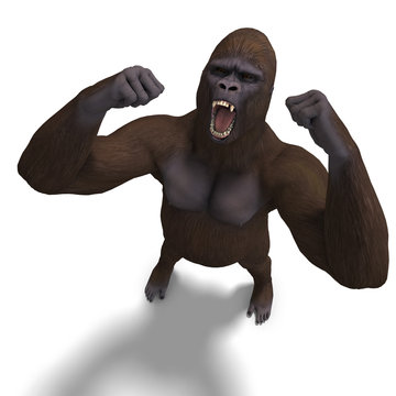 gorilla roaring. 3D rendering with clipping path and shadow over