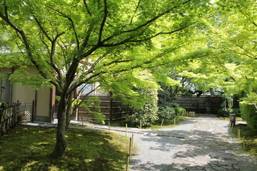 Obraz premium 庭園