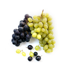 red grape and white grape