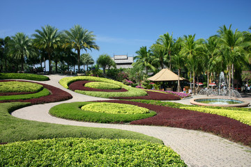 Tropical Garden