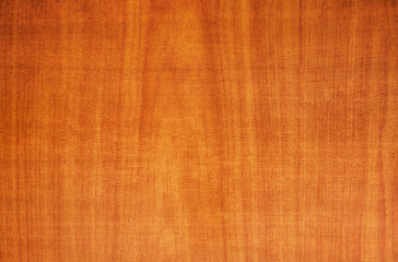 Fototapeta premium Background