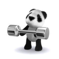 3d Weightlifter teddy