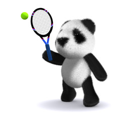 3d Teddy plays tennis © Steve Young