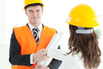 Mature architect discussing with his colleague