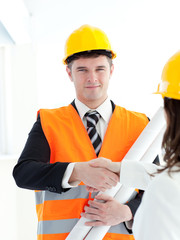 Male architect discussing with his colleague