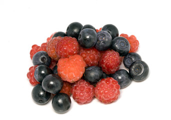 berries of raspberry and bilberry on white background..