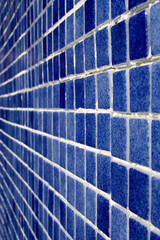 Pool tile portrait