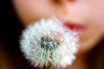 Child Making a Wish