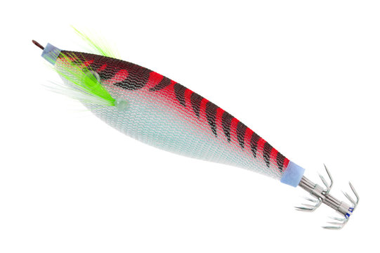 fishing baits isolated on white