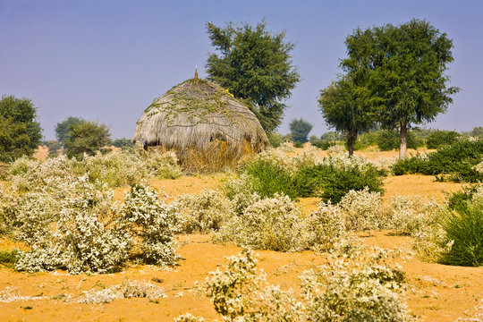 Tharr Bishnoi Rundhuette 1