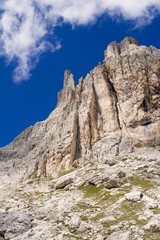 Fototapeta na wymiar Dolomite - Vajolet towers - Italy