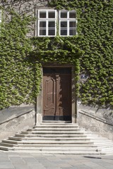 entry in the house and ivy