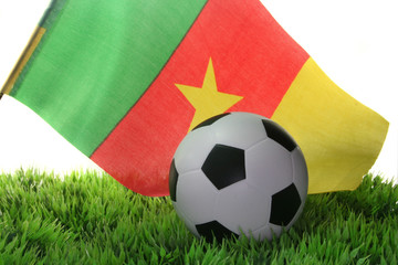 Fußball-WM 2010