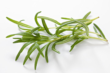 Fototapeta premium Beautiful green Rosemary herb ready for use in cooking
