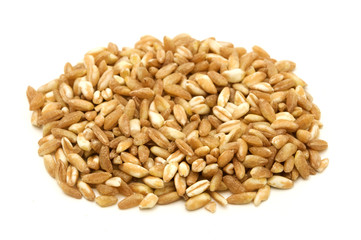 Farro