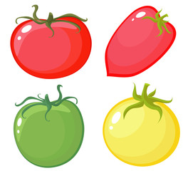 Set of four multi-colored kinds of tomato