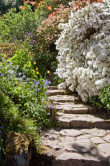 Obraz premium Garden Walk