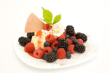 Eisteller Waldfrucht