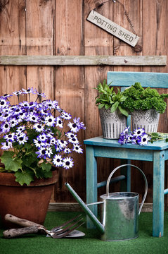 Gardening