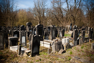 Old Jewish cemetery in Lodz