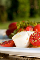 Bocconcini and Tomato Salad