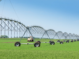 wheat field and irrigation equipment