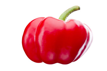 Red Paprika on white background