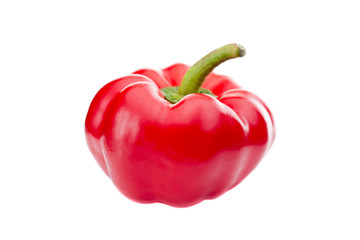 Red Paprika on white background