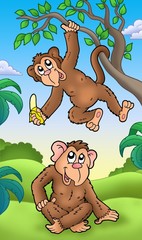 Twee tekenfilm apen
