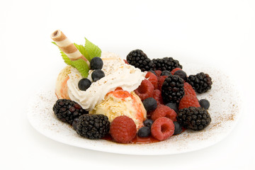 Waldfrucht Eisteller