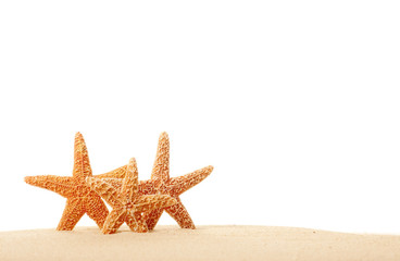 Three Starfish in the Sand