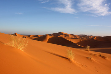 Fototapeta na wymiar Widok na Saharze